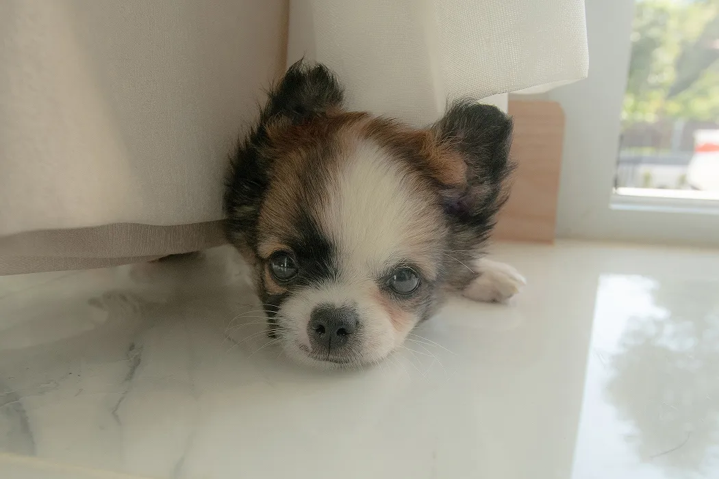 ผลงานสร้างบ้าน คุณวนิดา อ.ส่องดาว จ.สกลนคร