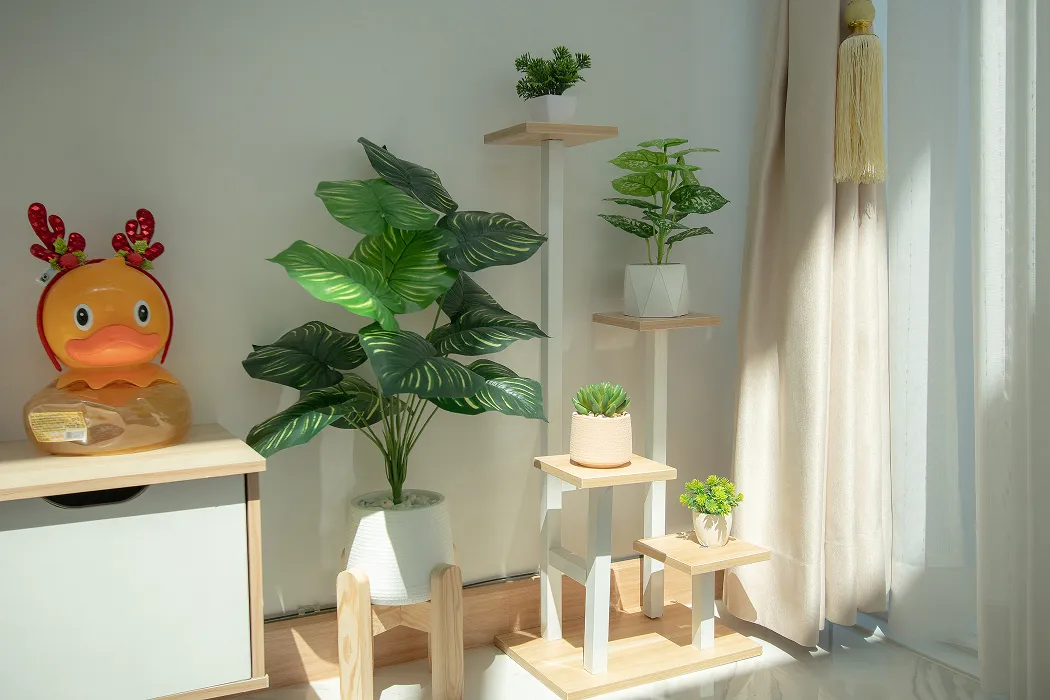 ผลงานสร้างบ้าน คุณวนิดา อ.ส่องดาว จ.สกลนคร